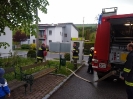 190510_Gemeinschaftsübung_8